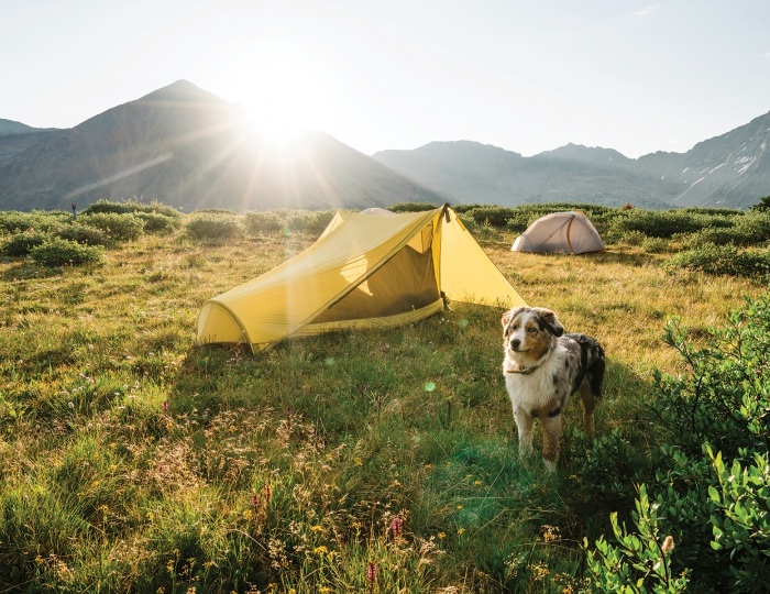Летние развлечения на территории курорта Красная Поляна (ex. Горки Город) - Отель «Долина 960»